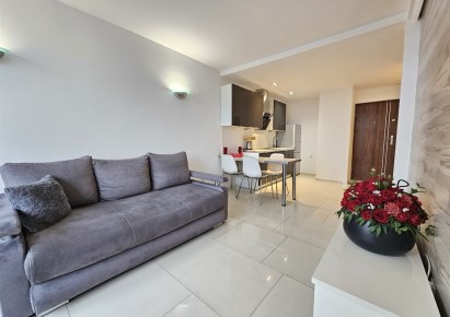 mieszkanie na wynajem - Sosnowiec, Centrum